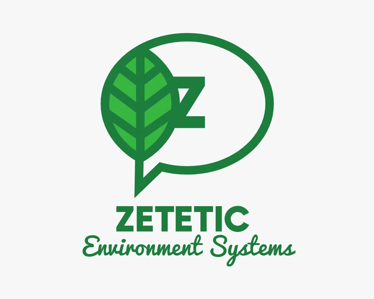 Zetetic Systems